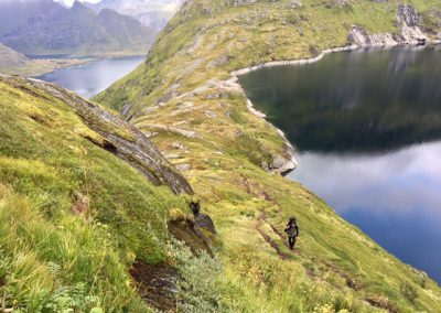 Bergkam Lofoten