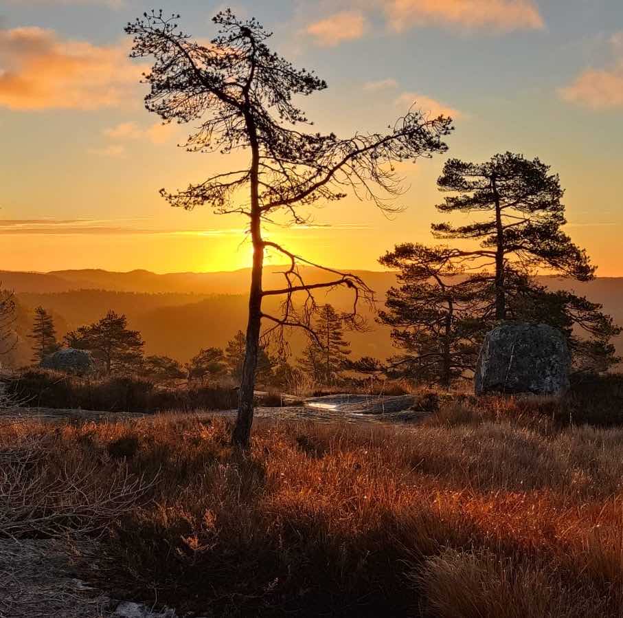 Herfsttrektocht in Zuid-Noorwegen
